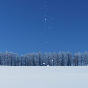 冬は「閉蔵」の季節