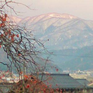 今月の湧き水汲み