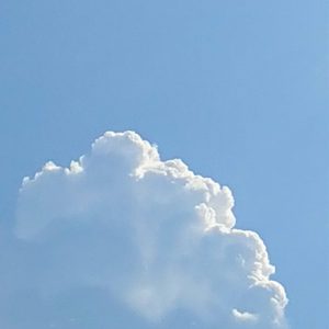それでも秋です