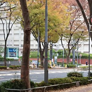 ときどき、べんきょう