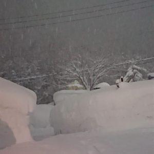 今日も雪