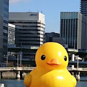 ぴょっ？