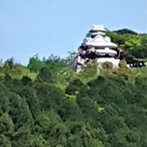 実家で