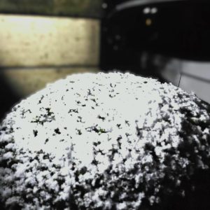 雪がチラチラ