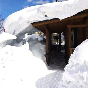 今年はどこも雪がいっぱい