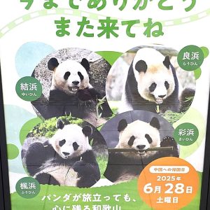 またね