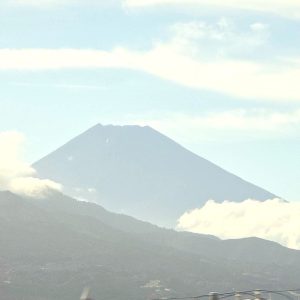 久しぶりの姿