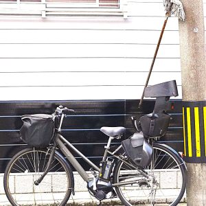 不思議の国・・・京都