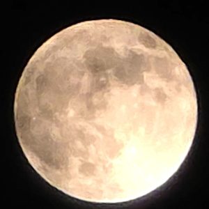 ハーベストムーン